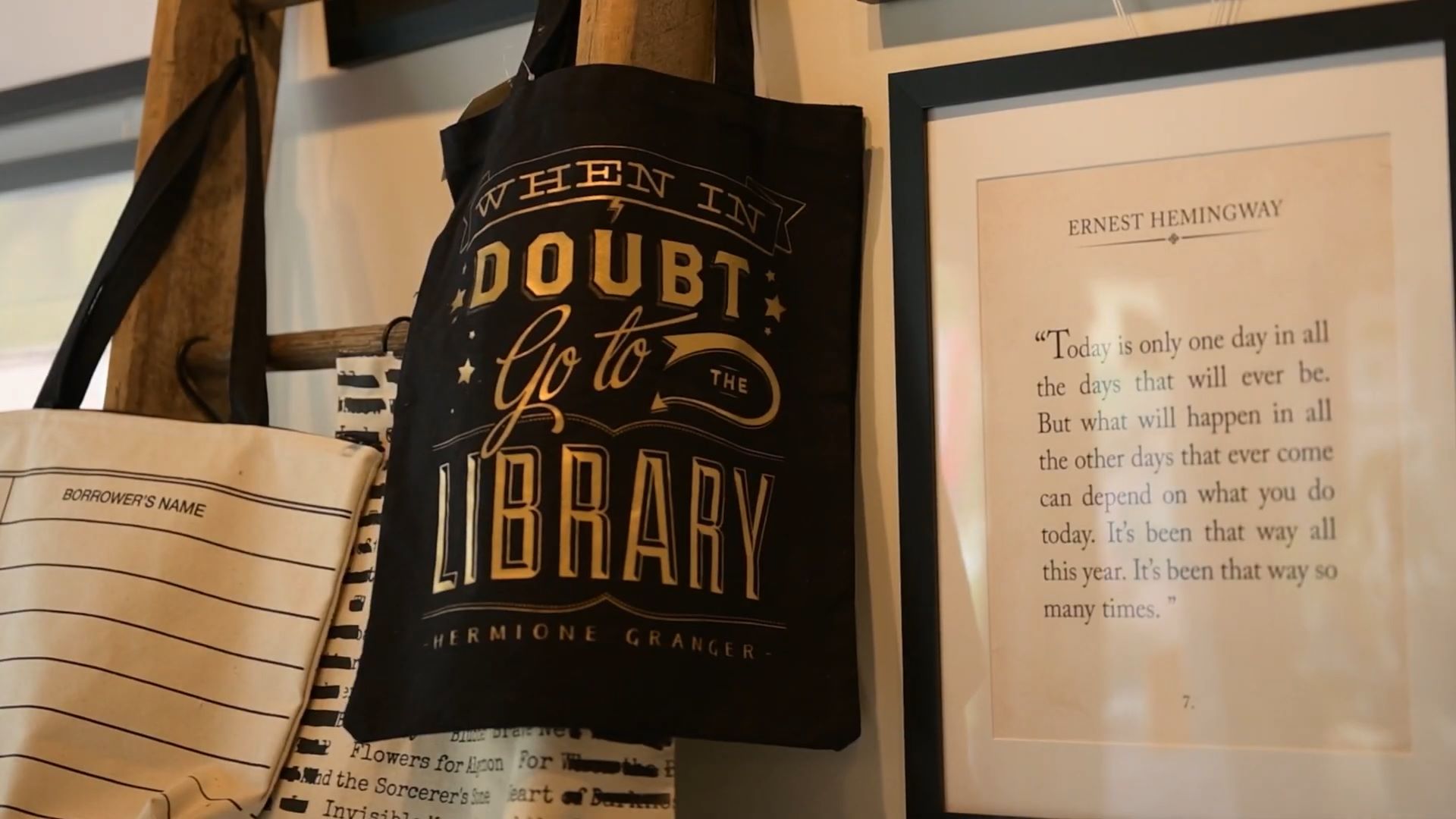 Navigating the Path to Export Success: Echo-Lit’s Journey Begins