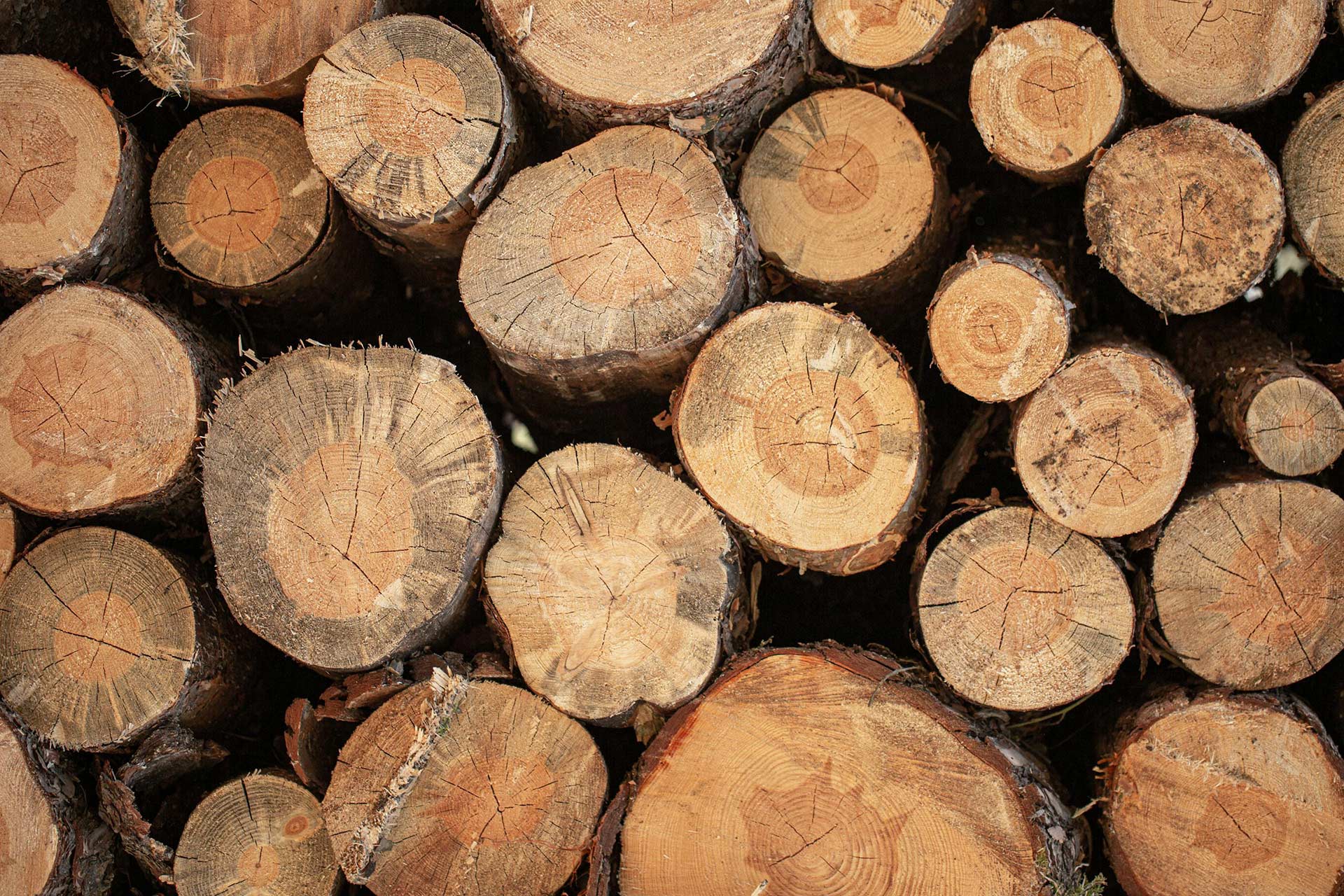 Weyerhaeuser Commits $1 Million Investment to Strengthen Buckhannon Community