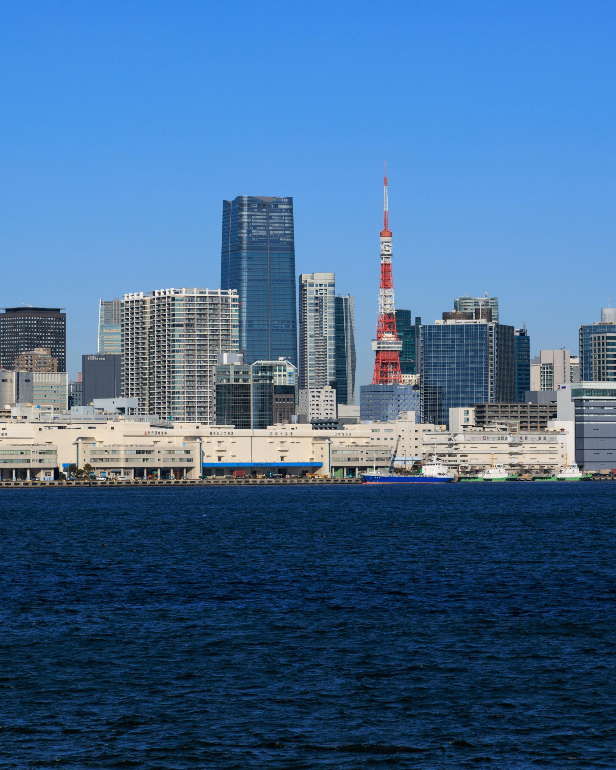 West Virginia Energy Resources Drive International Investment