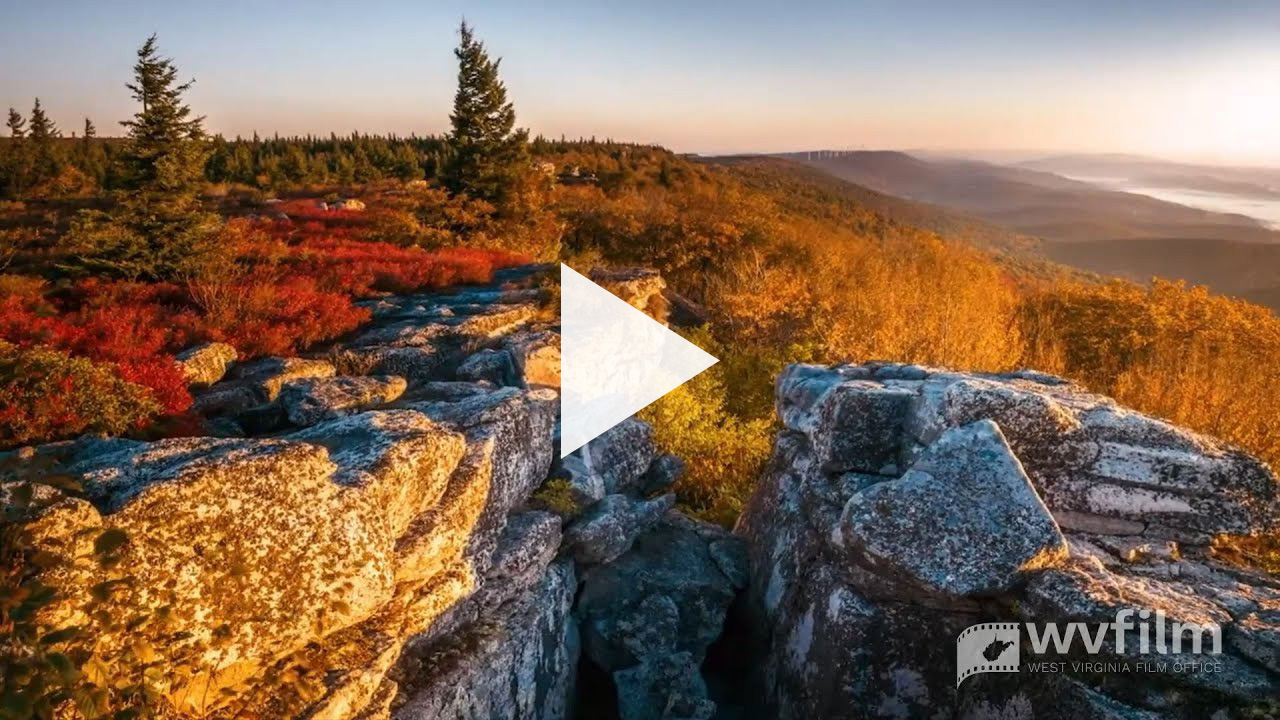 Watch Video on Youtube